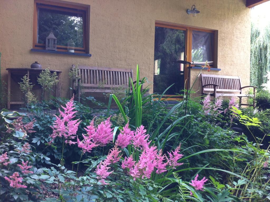 Villa Waldeslust Befort Exterior foto